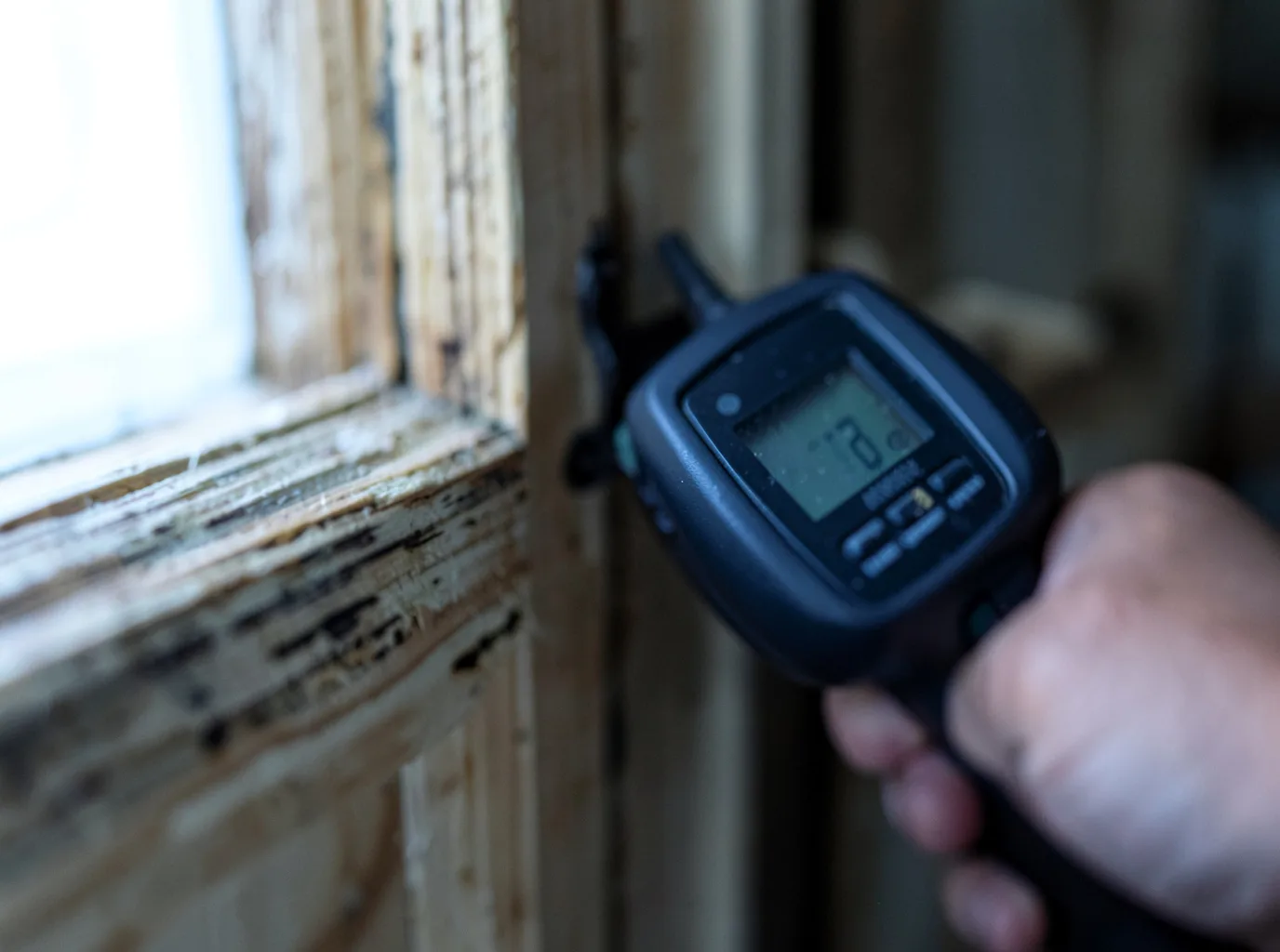 Commercial Water Damage Restoration in Audubon, MN